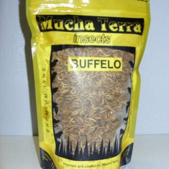 Buffalo 1 l gefroren 