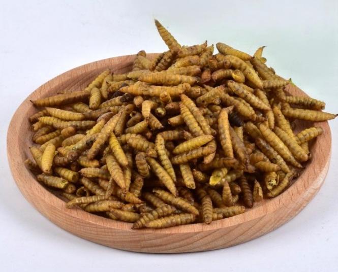 getrocknete Hermetia Larven 5 kg 